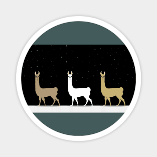 THREE L LLAMAS Magnet